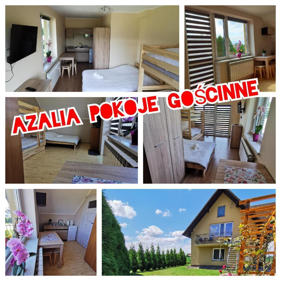 Azalia Zator Apartman Kültér fotó